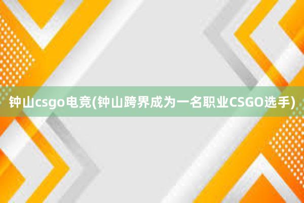 钟山csgo电竞(钟山跨界成为一名职业CSGO选手)